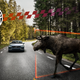 Photo: Volvo